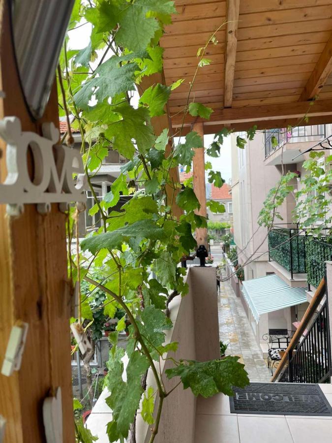 Rodos House Hotell Pomorie Exteriör bild